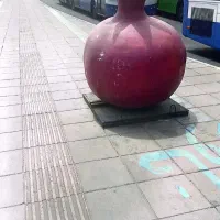 نظافتچی راه پله وشرکت وپاساژ