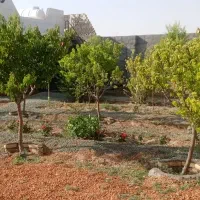 فروش باغ