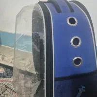 کیف حیوان خانگی