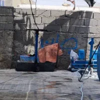 دونفر کارگر برای قالیشویی