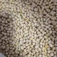 نخود محلی درجه یک اعلاء