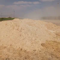 سلام کاه گندم سرگل وتمیز