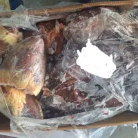 جگر منجمد همراه دل و قلوه