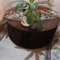 میز وسط مخملی
