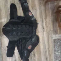 شولدر