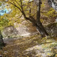 195متر زمین داخل بافت جاده چالوس