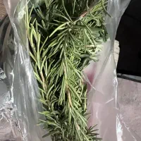 رزماری تازه
