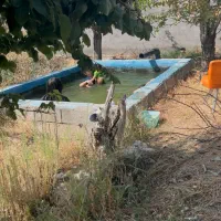 باغ-حاشیه-شاهنامه-76