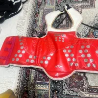هوگو تکواندو