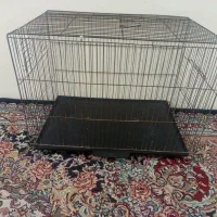 قفس پرنده
