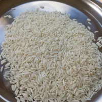 برنج هاشمی درجه ۱