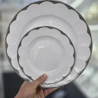 ۱۲نفره ایساتیس پلاتینی(سیلور)