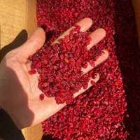 زرشک  از ۱۸۰تومن۶۵۰تومن