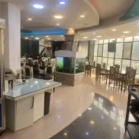 صندوقدار خانم