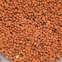 غذا ماهی گرانولی