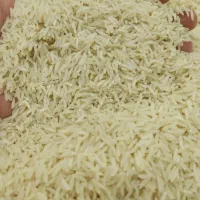برنج عنبر بو درجه یک شوشتر