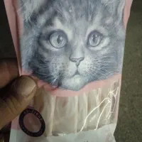 بستنی گربه