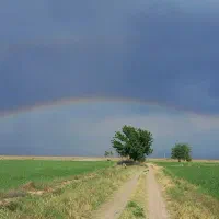نیازمند کارگر برای نگهبانی و آبیاری زمین کشاورزی