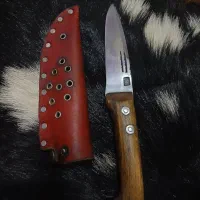 شخصی کلکسیونی