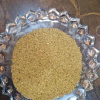 بذر یونجه دستگر