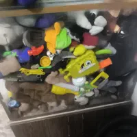 اکواریوم