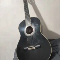 گیتار حرفه‌ای AK-20