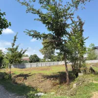 فرصت استثنایی خرید زمین مسکونی سنددار در گیلان