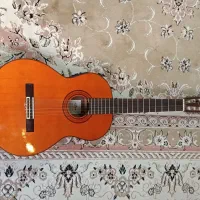 گیتار اریا ak80