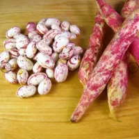 لوبیاچیتی پاک شده