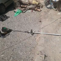 علف بر کوله ای