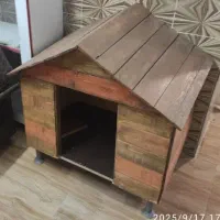 خاته پت کاملا نو و تمیز