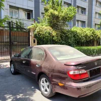 ماکسیما تحویل 92صفر خشک