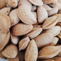 خرید و فروش بادام...نقدی.به آدرس شما