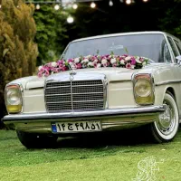(تیمvipتشریفات عروسی سعیدفتاحی)ازنامزدی تاعروسی