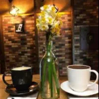 صندوقدار خانم در شهربازی