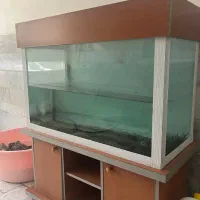 اکواریوم