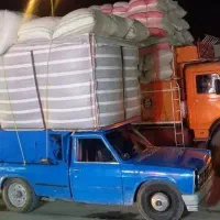 خرید و فروش نقدی کاه سره زمین و تحویل در دامداری
