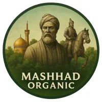 قارچ یال شیر ، شاه صدف ،شیتاکه