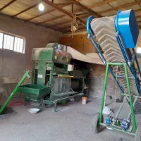 بوجاری گندم  بستان آباد