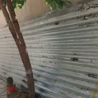 ورقه های ایرانت