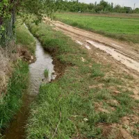 زمین-زراعی-سندیکای-برگ