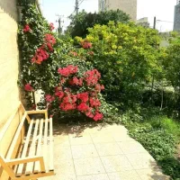 ویلایی-250-متری-صددستگاه-باهنر