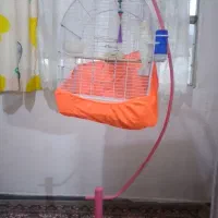 قفس طوطی آباژوری