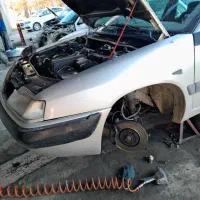 جلوبندی شایان