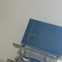 نظافتچی خانم برای تمیز کردن منزل