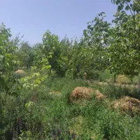 باغ واقع در جاده بناب مرند روبروی سی آن جی