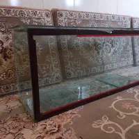 آکواریوم سالم و تمیز