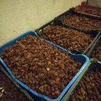 آلو خشک«خورشتی»