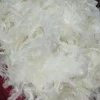 پر مرغ کاملا تمیز بدون بو برای بالش