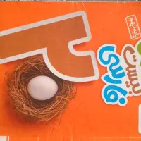 کتاب کار خیلی سبز فارسی پایه نهم